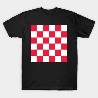 Haas Racing Flag T-Shirt